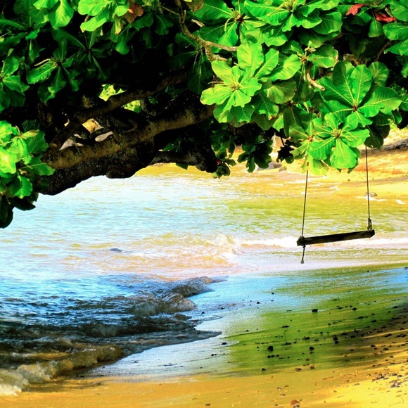 Meet your Posher, Patty - Picture 4 of 4